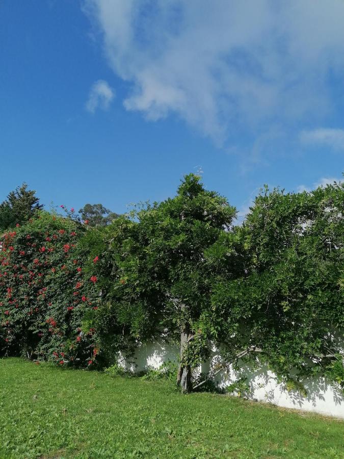 Casa Das Castanheiras Vieira do Minho Esterno foto